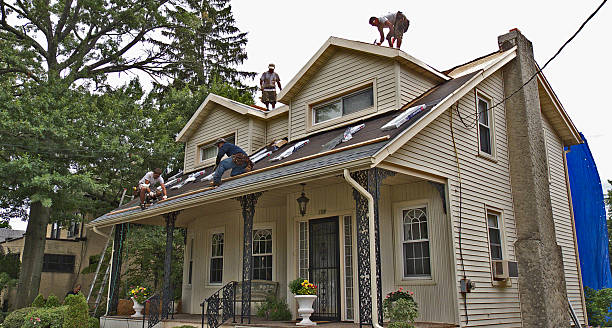 Best Residential Roof Replacement  in Quitman, TX