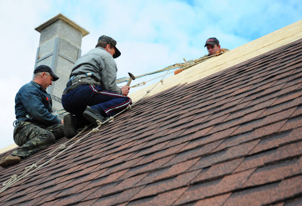 Best Storm Damage Roof Repair  in Quitman, TX