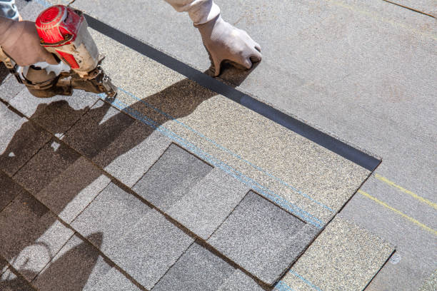 Professional Roofing Contractor in Quitman, TX