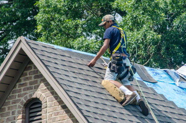 Best Residential Roofing Contractor  in Quitman, TX